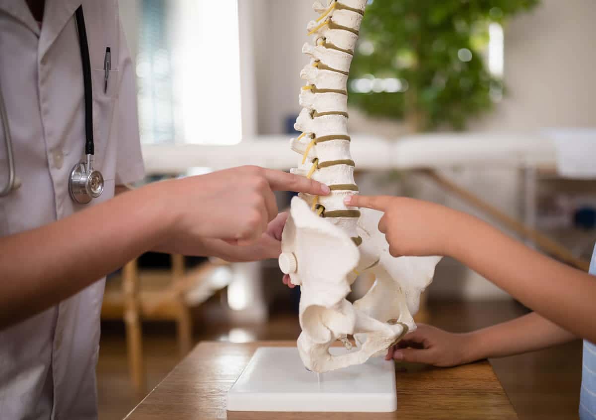 A chiropractor with a mock spine demonstrating adjustments - Integrated Chiropractic A chiropractor with a mock spine demonstrating adjustments